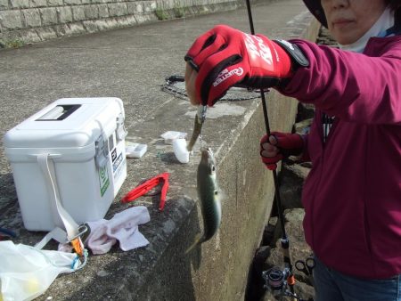 サバゲーもルアー次第ですね。